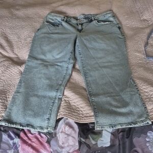 Lane Bryant Denim Jeans with Faded Blue Wash